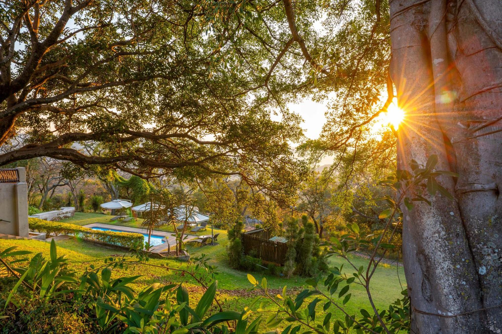 Chestnut Country Lodge ヘイジービュー エクステリア 写真